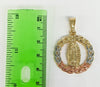 Plated Tri-Gold Virgin Mary Pendant and Chain Set